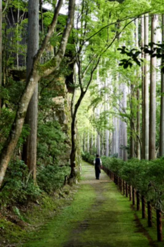 Imperial Tokyo et Aman Kyoto : deux hôtels qui révèlent l'âme du Japon