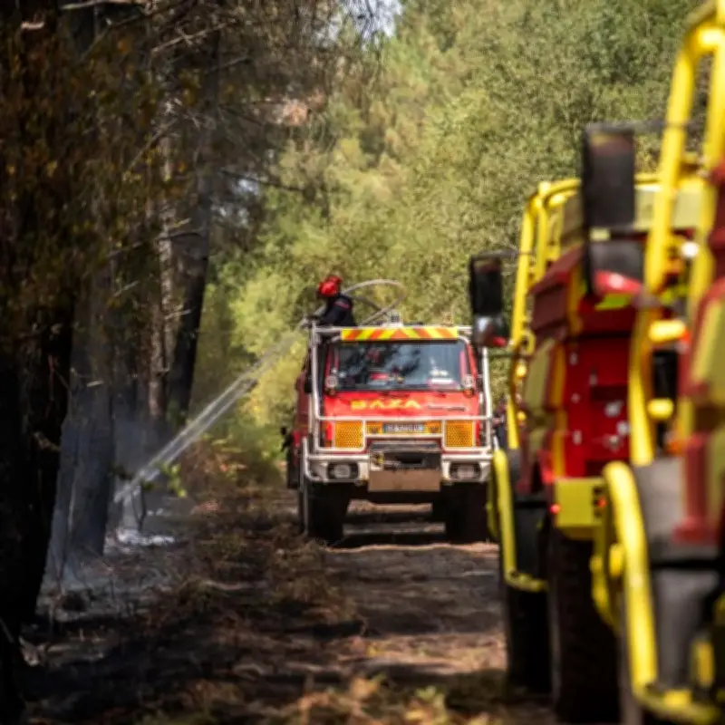 Incendie dans le massif de la Bessède en Dordogne : 4 hectares détruits