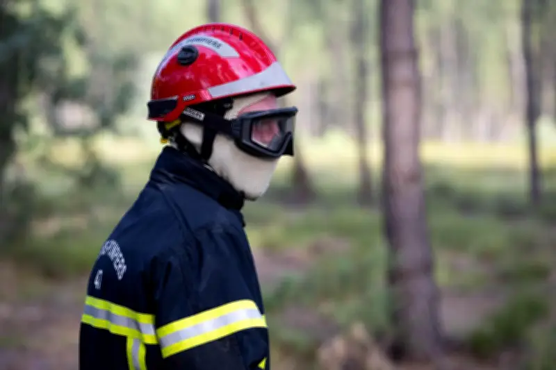 Incendie dans une ferme photovoltaïque à Rion-des-Landes : 1,5 hectare détruit