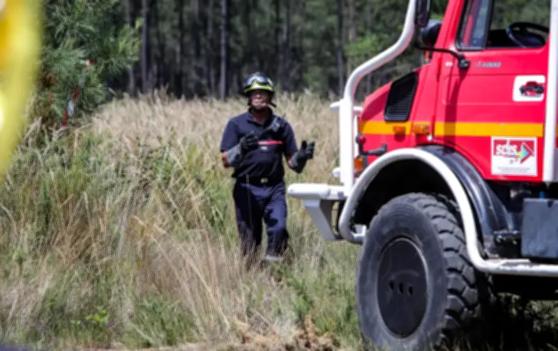 Incendie forestier à Saint-Martin-Curton : 2 hectares brûlés, intervention rapide des pompiers