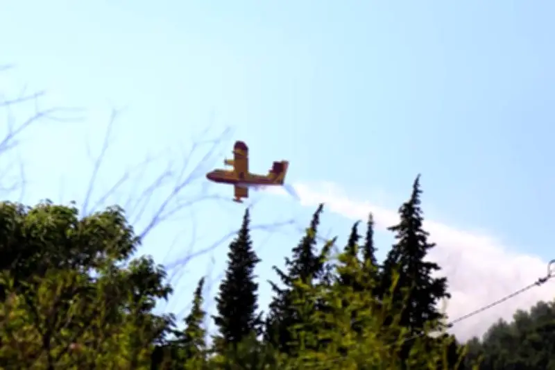 Incendie près de Nice : les Canadair maîtrisent un feu de forêt à Roquebillière