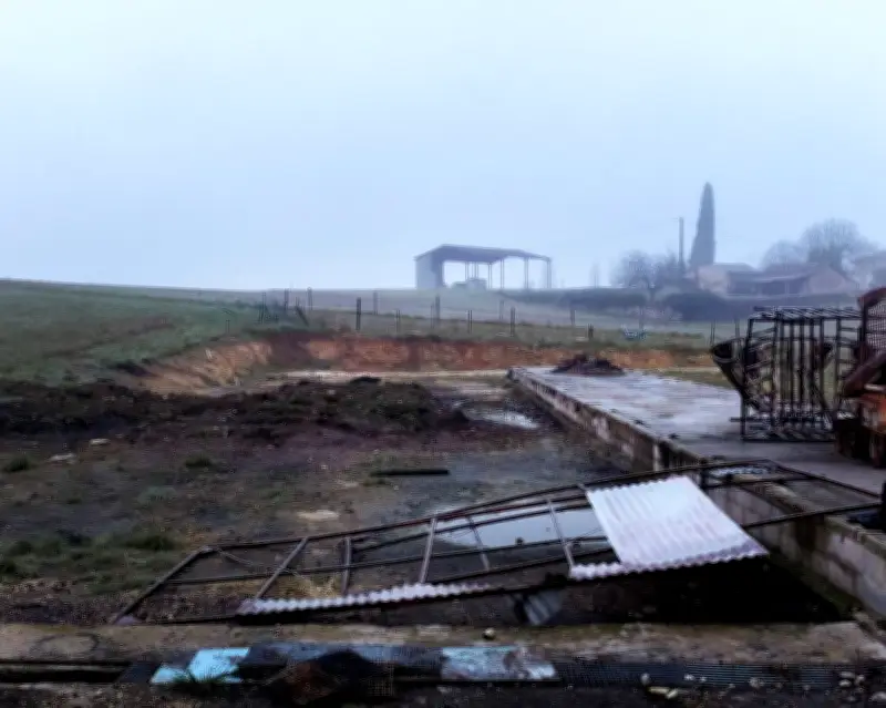Incendies en élevage : plus de 480 animaux meurent chaque jour dans les fermes