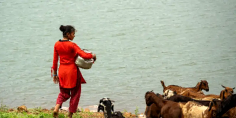 Inégalités d'accès à l'eau : les femmes toujours défavorisées face aux hommes