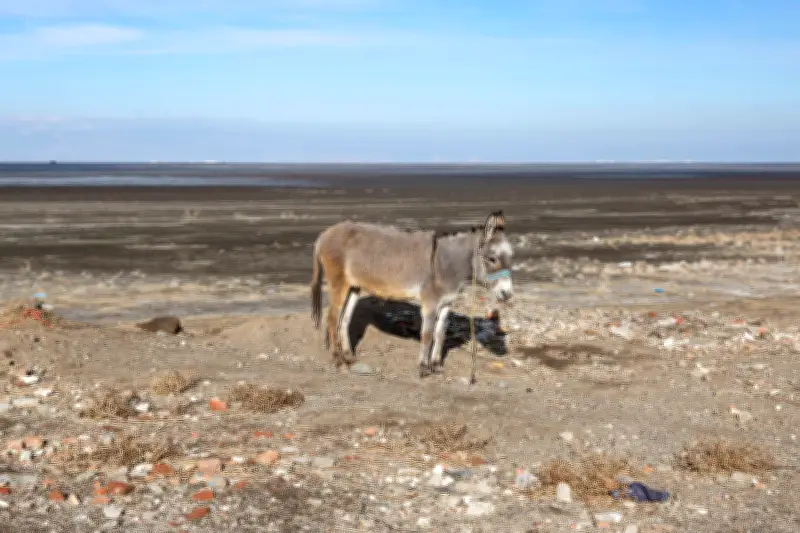 Iran : la bombe hydrique, une menace existentielle qui dépasse les conflits armés