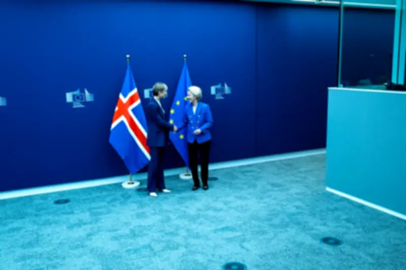 Islande : un référendum sur la reprise des négociations d'adhésion à l'UE cet été