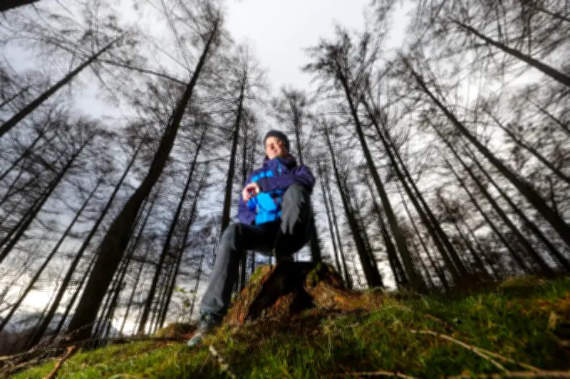 Jean-Louis Bordenave : dix ans à révéler les trésors cachés des Pyrénées