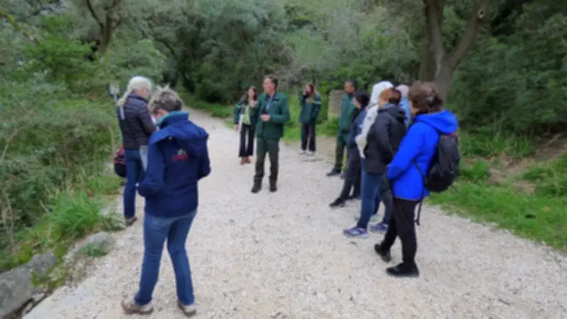 Journée Internationale des Forêts au Pont du Gard : succès malgré la pluie