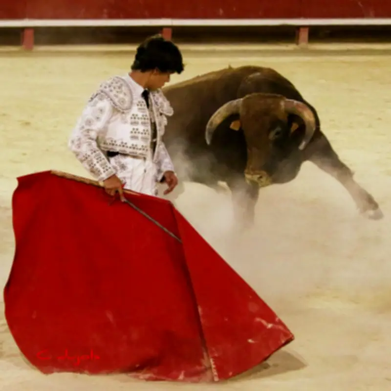 Jules Dujols, 17 ans, rêve de devenir matador entre les Landes et l'Andalousie