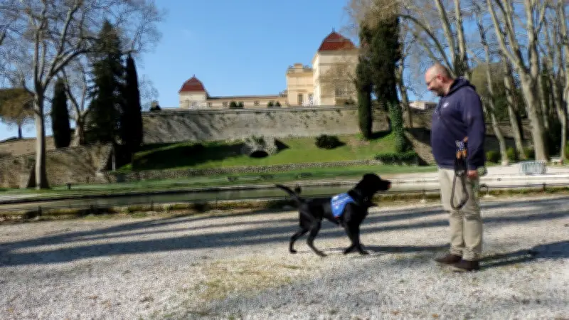 Julien et Valk : un duo contre le stress post-traumatique des gendarmes