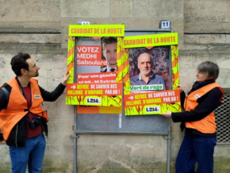 L214 cible les candidats bordelais non-signataires de son appel animaliste
