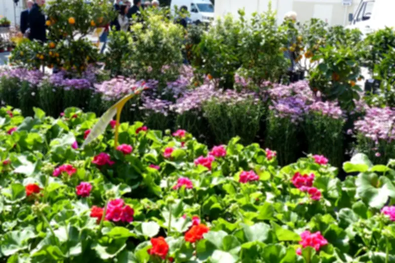 La 35e Fête des Jardins d'Antibes mise sur la jeunesse et l'innovation