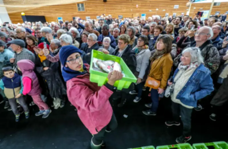 La Criée de l'Encan fait son grand retour à La Rochelle après deux ans d'absence