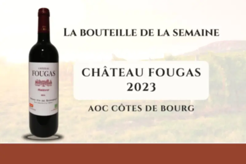 La cuvée Maldoror 2023, un vin biodynamique d'exception en Côtes de Bourg