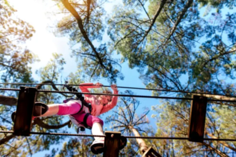 La Double Aventure : un nouveau parc de loisirs nature ouvre à Montendre
