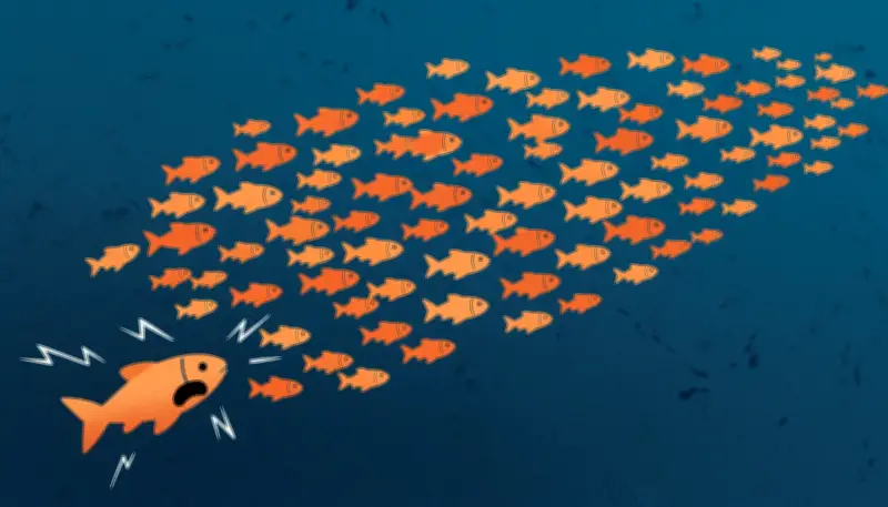 La désinformation, une stratégie biologique ancestrale chez les poissons et les oiseaux