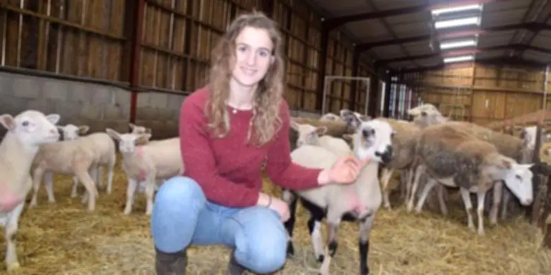 La Ferme Ardilla dévoile ses brebis berrichonnes : visites et ateliers printaniers