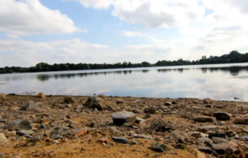 La FNSEA fait pression sur l'État pour bloquer le SAGE de la Vilaine en Bretagne