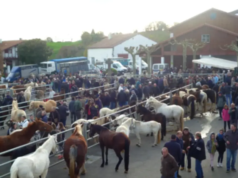 La foire d'Hélette, tradition printanière depuis 1962 avec chiens de berger et saveurs locales