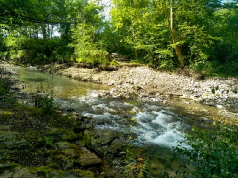 La Fondation des pêcheurs restaure et protège des territoires d'eau en Nouvelle-Aquitaine
