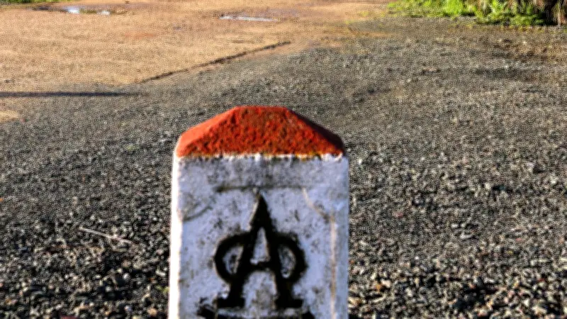 La Ganadería Miura dévoile ses toros pour la saison 2026 à Zahariche