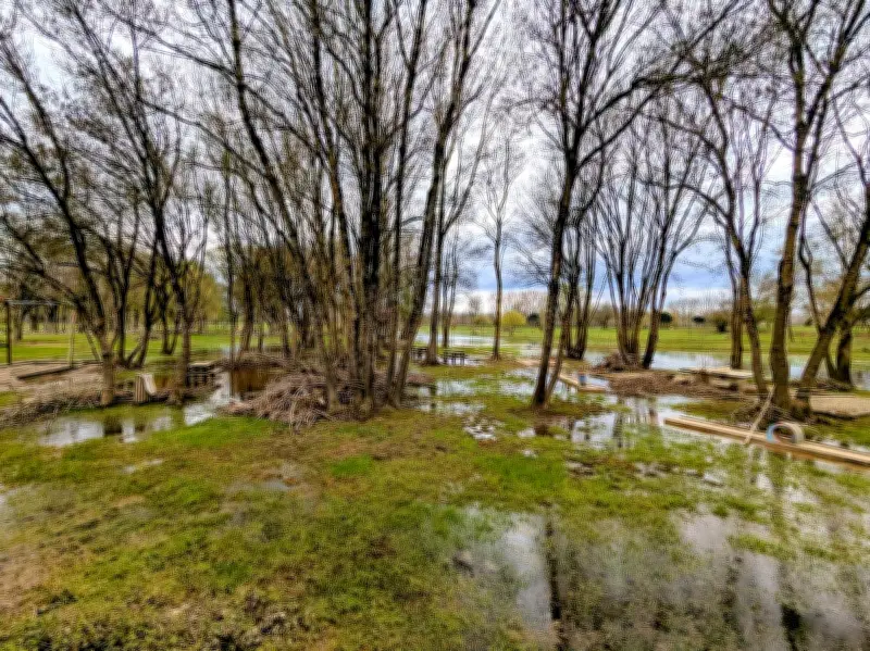 La Garonne laisse des traces profondes sur la Cité de la tomate après la crue