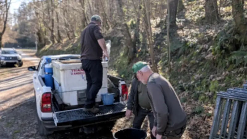 La Gaule Cévenole relance la pêche locale avec un lâcher de truites dans le Gardon