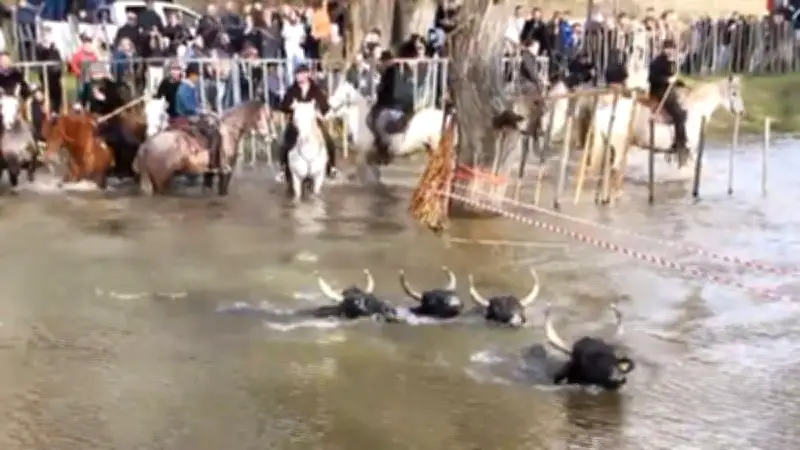 La Gaze de Fons revient pour sa 22e édition avec un spectacle bouviste prometteur