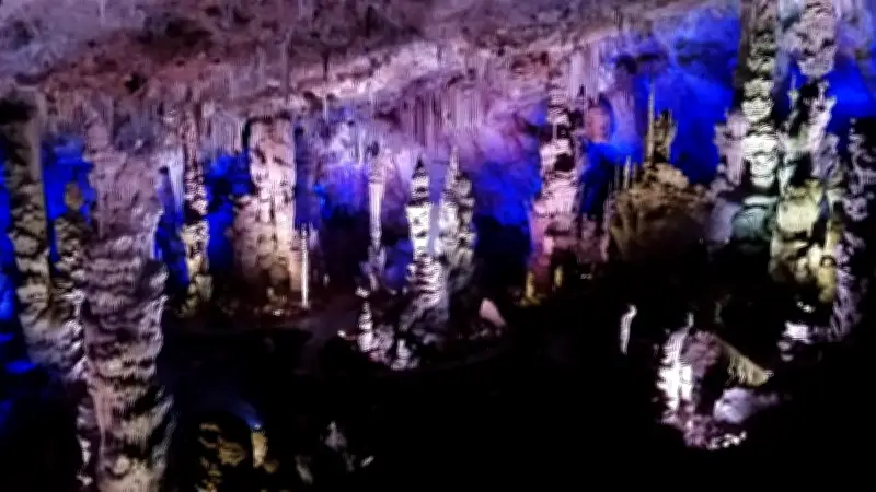La Grotte de la Salamandre rouvre avec un week-end nature dédié à l'environnement