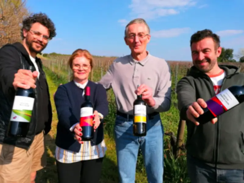 La Haute-Gironde réinvente ses vins face à la crise et au « bordeaux bashing »