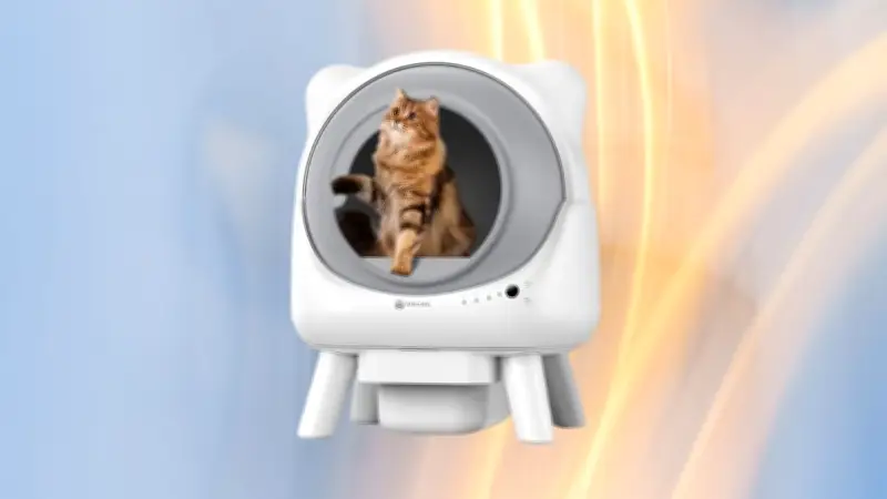 La litière autonettoyante à prix réduit révolutionne le quotidien des propriétaires de chats