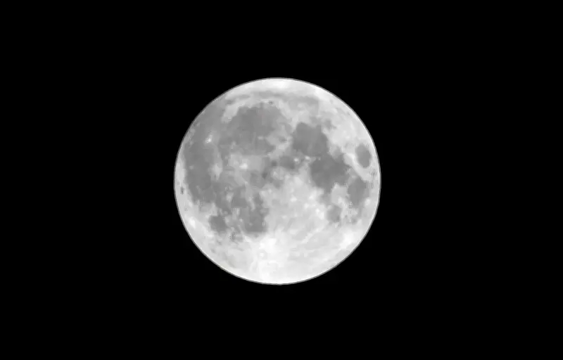 La Lune rose d'avril : un spectacle céleste annonciateur du printemps