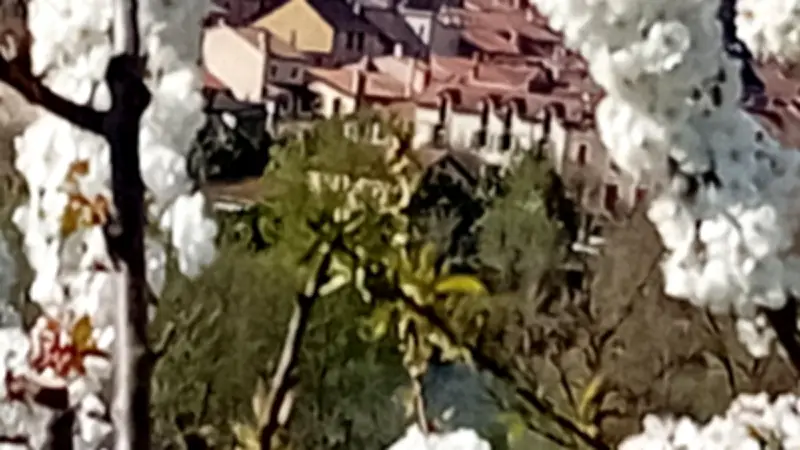 La Maison de la Cerise convoque son assemblée générale à Paulhe