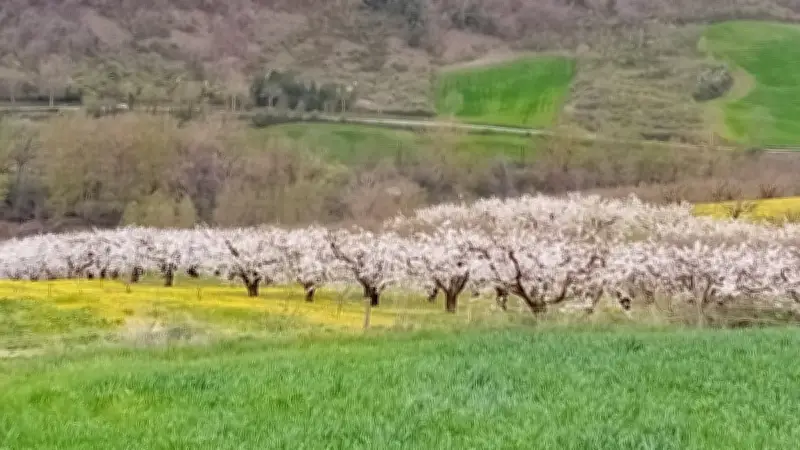 La Maison de la Cerise relance sa saison avec la Balade Blanche traditionnelle