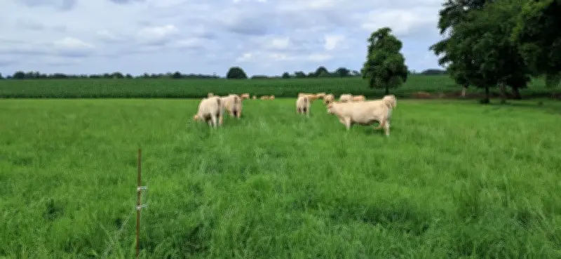 La MSA Sud Aquitaine informe les agriculteurs sur leurs droits et services à Morlaàs