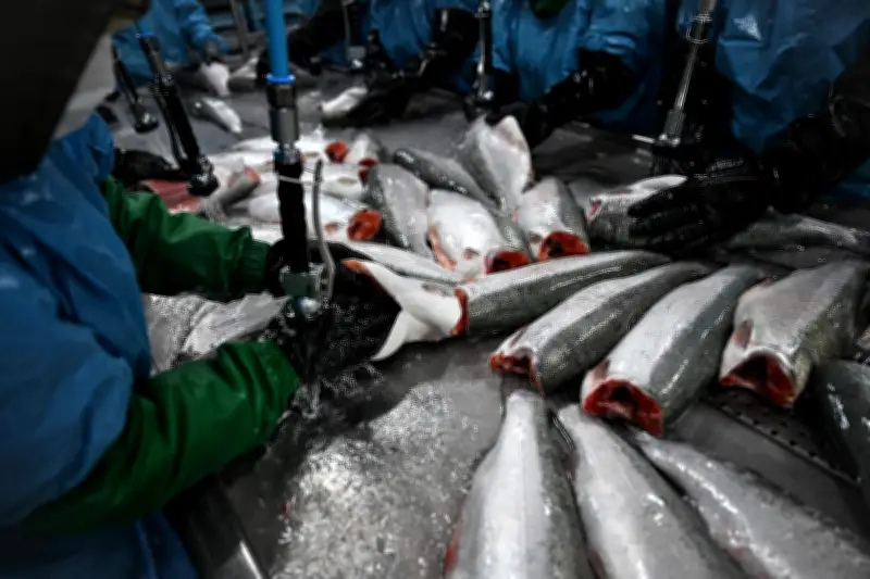 La Namibie vise le leadership africain de l'aquaculture avec l'élevage de saumon dans l'Atlantique