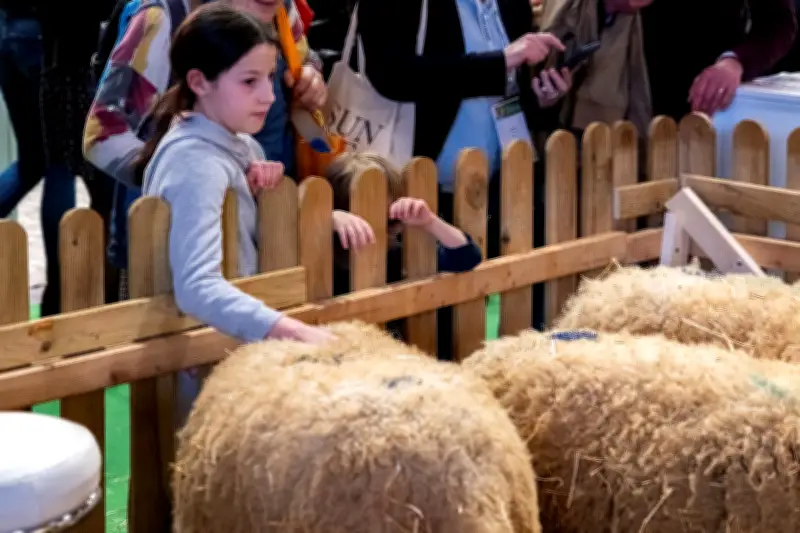 La nouvelle génération d'agriculteurs face au défi du renouvellement