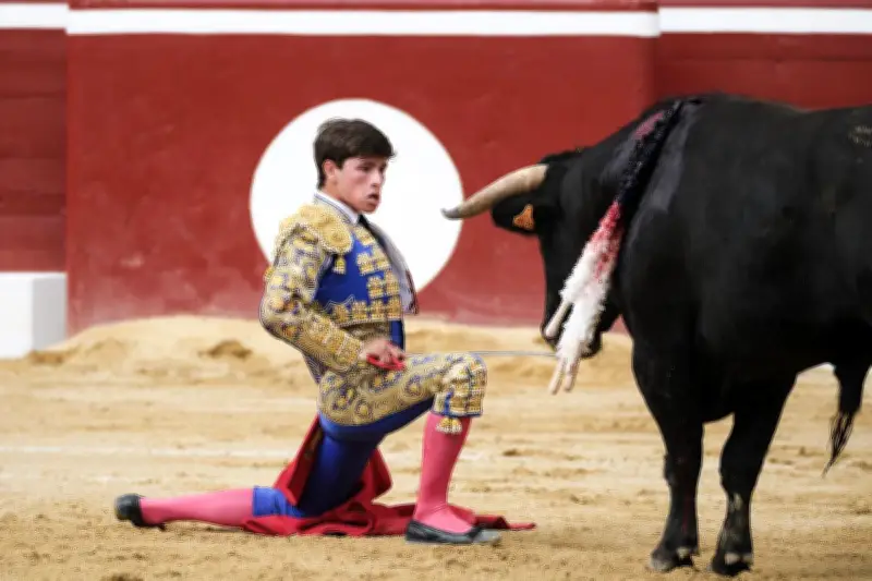 La Peña Montoise relance ses retransmissions télévisées de corridas pour le printemps 2026