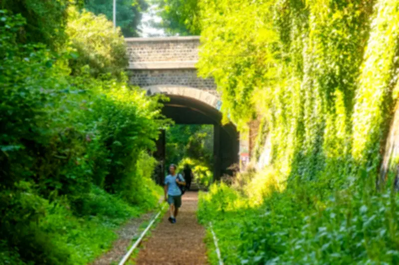 La Petite Ceinture de Paris : une randonnée urbaine hors des sentiers battus