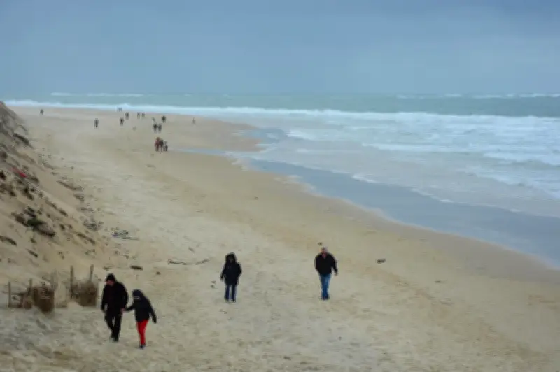 La plage de la Lagune rouvre après l'incendie de 2022, un symbole de résilience