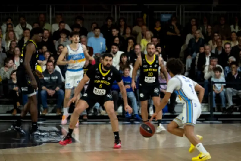 La Rochelle s'impose face à Antibes et confirme sa montée en puissance en Pro B