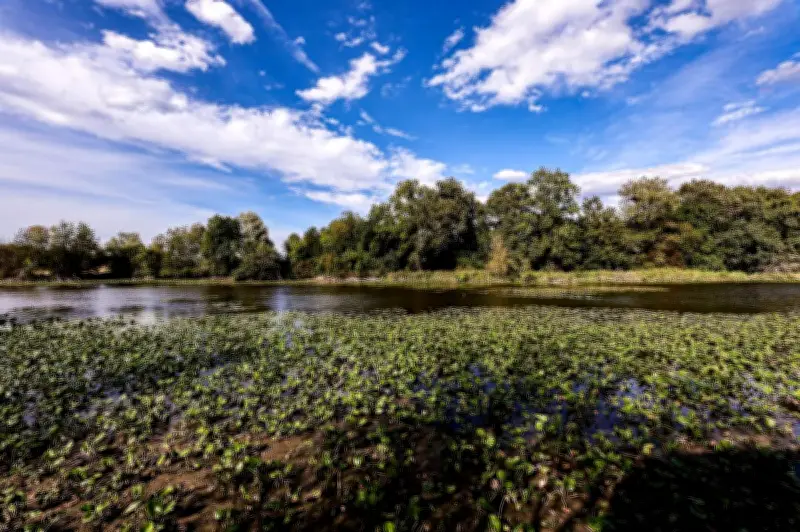 La réserve naturelle de l'étang de la Mazière : un site pionnier en Lot-et-Garonne