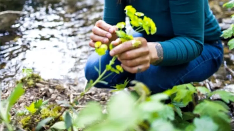 La Semaine de la Biodiversité s'installe à Ganges pour sensibiliser les citadins