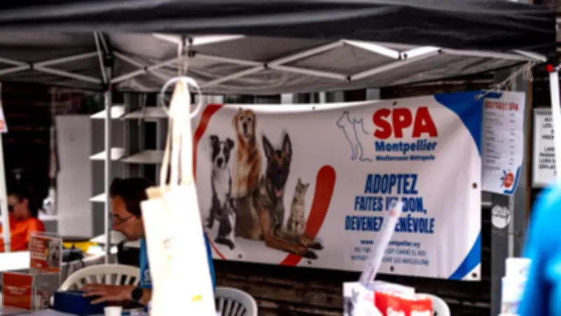 La SPA et L'arche canine unissent leurs forces pour une journée dédiée à l'adoption animale