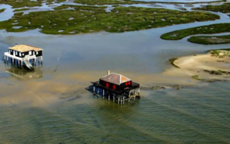 La Teste-de-Buch lance une collecte pour reconstruire la cabane tchanquée n°3