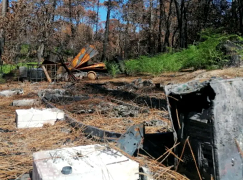 La Teste-de-Buch : les permis de reconstruire les cabanes brûlées en 2022 bloqués par la justice