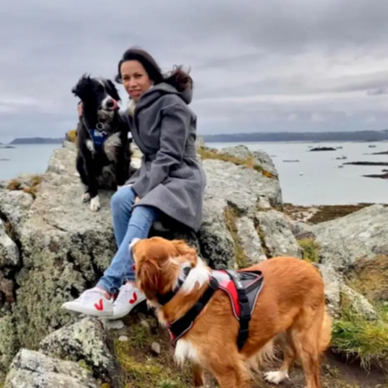 La Teste : mort d'une femme après une dispute, le débat entre féminicide et accident