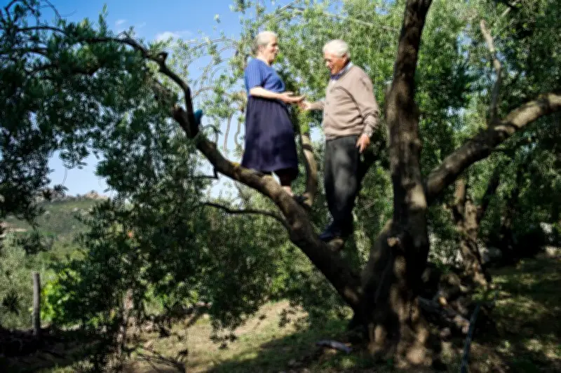 La traque des supercenténaires : enquête sur les seniors battant les records de longévité