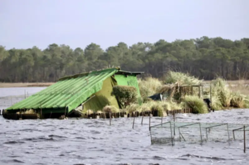 Lacanau : les chasseurs évaluent les dégâts sur les tonnes après les intempéries hivernales