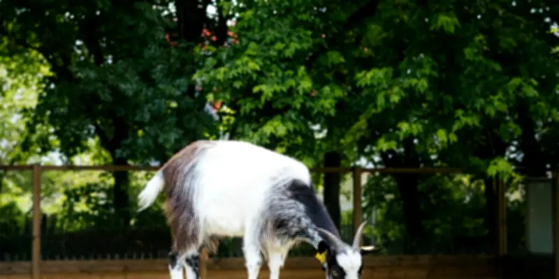 L'agenda culturel et lifestyle de la semaine : que faire, voir et découvrir ?