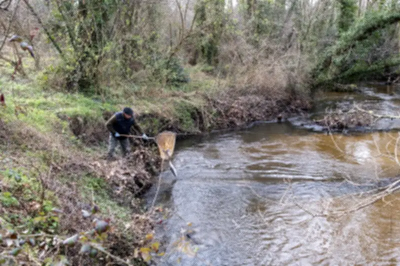 Landes : 7 000 pêcheurs attendus pour l'ouverture de la pêche à la truite